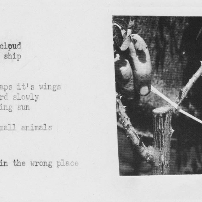 Album cover. Has a detail of someone doing a graft. Some words/phrases scattered: ship, it's wing, slowly, sun, animals, the wrong place