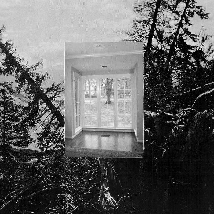 Album cover. Collage of a destroyed forest with a superimposed photo of a living room viewed from the inside out through the window