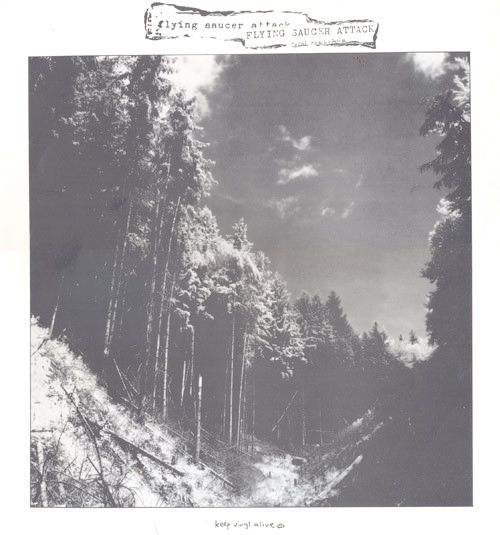Black and white photo taken from a clearing in the forest, with some trees down, probably suggesting a flying saucer went by