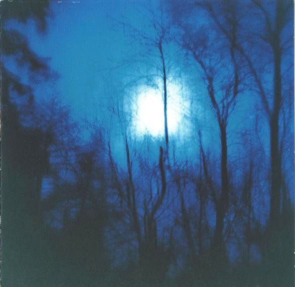 Photo of the moon at night, maybe, a source of light, at least, with tree branches in between the light and the photographer. Some motion blur on it