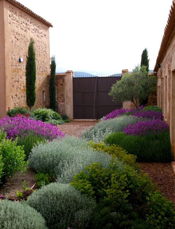 Garden view with a mediterranean look with xeriscaping-style bushes