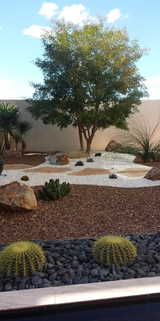 Garden view with diverse types of mulch