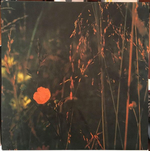 Close-up photo of vegetation/bushes. There is a red flower in the center area